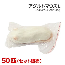 冷凍 アダルトマウス Lサイズ 50匹