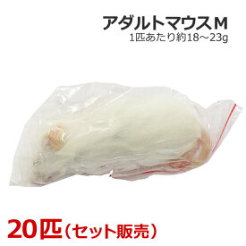 冷凍 アダルトマウス Mサイズ 20匹