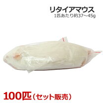 楽天市場】冷凍 マウス 100匹の通販