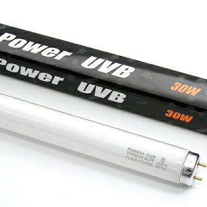 roEO[ p[UVB 30W |SiENu ঒  M  O UVB u 75`90cmΉ gJQ wr J JG Ip