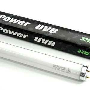 roEO[ p[UVB 32W |SiENu ঒  M  O UVB u 90cmΉ gJQ wr J JG Ip