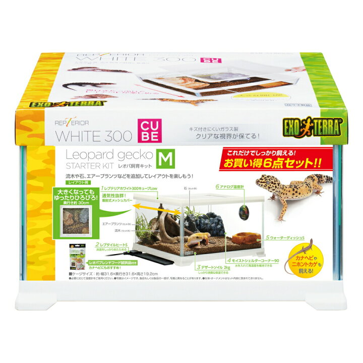 楽天市場】レオパ飼育キットM GEX（ジェックス） 爬虫類 飼育ケース 