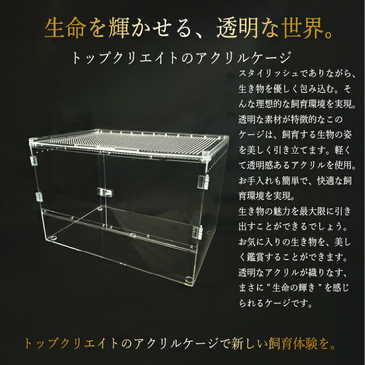 楽天市場】爬虫類ケージ アクリルケージ 4530 サイズ45×30×30cm 透明 