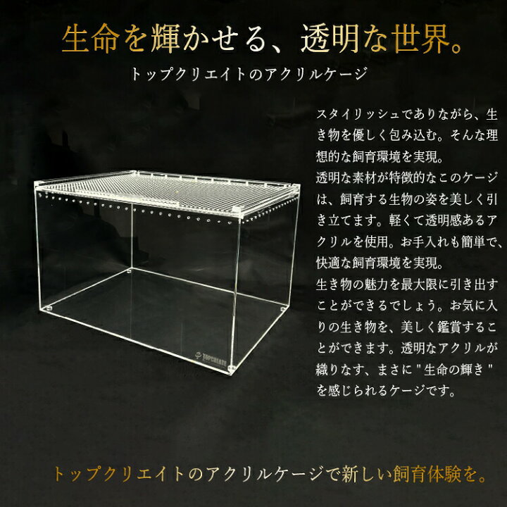 楽天市場】爬虫類ケージ アクリルケージ(レプタイル用ボックス) L 