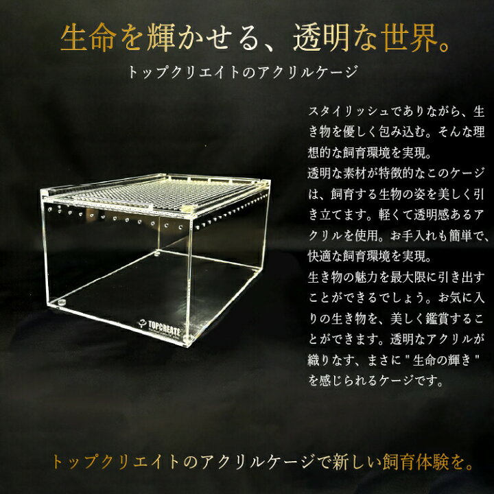 楽天市場】爬虫類ケージ アクリルケージ Sサイズ 20×30×15cm 透明 