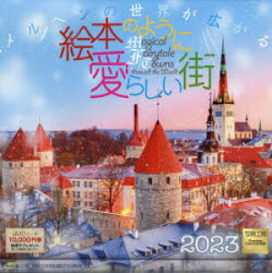 f23@G{̂悤Ɉ炵XJ_[