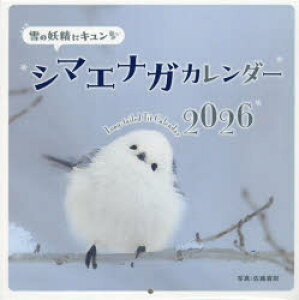 y3980~ȏ㑗zf26̗dɃLV}GiKJ_^쑥