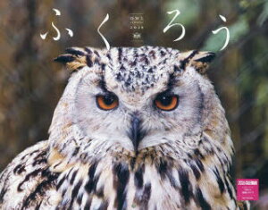 y3980~ȏ㑗zӂ낤J_[2026^