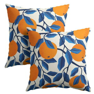 PAKAZA �N�b�V�����J�o�[ 45×45cm �ʕ� �t���[�c�� �Č��� �|�b�v ������� �� �� �M�t�g �a���� ��`���� 2���Z�b�g