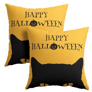 PAKAZA NbVJo[ 45×45cm nEB  G Mtg ze  ڂ Mtg a k 2Zbg