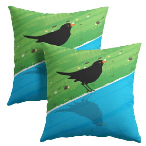 PAKAZA �N�b�V�����J�o�[ 45×45cm �� ��`���� �����D�� �H�� ���R �i�`�������X�^�C�� �k�� �M�t�g �z�e�� �X�ܗp �ƒ�p 2���Z�b�g