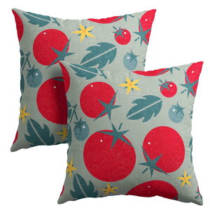 PAKAZA �N�b�V�����J�o�[ 45×45cm �ʕ� �t���[�c�� �Č��� �|�b�v ������� �� �� �M�t�g �a���� ��`���� 2���Z�b�g