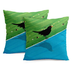 クッションカバー くろうたどり 草地の背景 自然な美しさ 鏡を見る鳥 明るく元気 黒い鳥 手描きトリ 2枚セット 30×30cm 40×40cm 45×45cm 50×50cm 55×55cm 60×60cm 羽と足 リラックス 北欧風 鳥好き 動