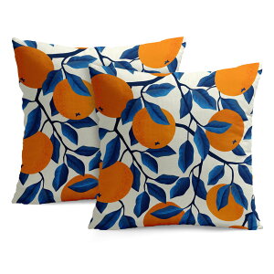 �N�b�V�����J�o�[ 30×30cm 40×40cm 45×45cm 50×50cm 55×55cm 60×60cm 2���Z�b�g �I�����W�̃��`�[�t �u���[���[�t �Ă炵�� �u�₩�ȕ��͋C �i�`�������� ��`���� �n���C���t���[�c�� �ʕ� ���k�n �A