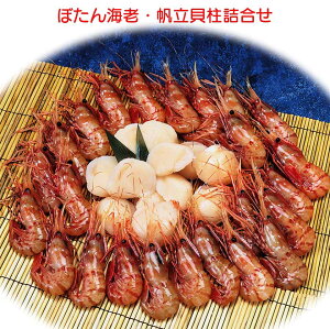 CNZbg ڂ񂦂сELl hgp ō YVRق300g VAYڂCV500g Ki̔L 傫ڂȃvbv̂ڂCVEւ͒ǉL