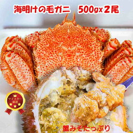 Sale 15%off+ポイント 北海道 毛蟹 1kg(500gx2) 【マイスター認定商品】海明けの毛ガニ ギフト 贈物 稚内産 浜頓別産 枝幸産 紋別産 オホーツク産ブランド毛ガニ 濃厚カニみそ 甘みのある味が特徴 送料無料沖縄・離島へは追加料金有り