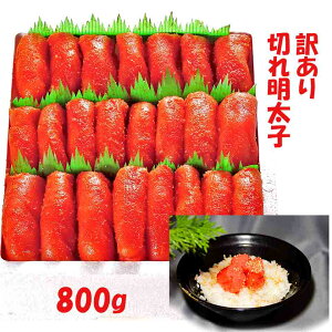 Sale ő2000~offN[|+ő|Cg47{ ؂ꖾq800g q 󂠂 ݂ KiƕςȂ ƒɏĂΕ֗ ɕėⓀEւ͒ǉL