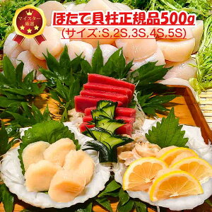 kC Y ⓀقĊLKi500g ʗ hgp  ق z^e ̓ hV̓ Mtg 5TCỸoG[V tX֗Ao glt[U[Eւ͕ʓr