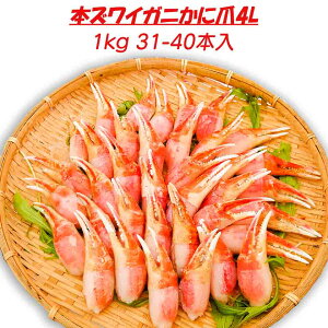 Sale }\ I 18 |Cg10{ {YCKj1kgkC t蔭 4LTCY̒܂31-40{ Ji_Y ґ Mtg y 畨 tC ŏIHn{E