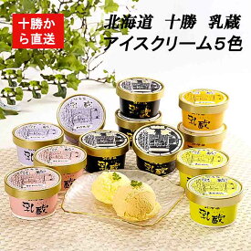 期間限定お中元Sale 15%off クーポン+Pt 北海道ブランド【 江戸屋】 十勝アイスクリーム12個セット乳蔵 プレミアムバニラ ストローベリー ハスカップ 赤肉メロン 青肉メロン 十勝工場より産地直送 いつも新鮮 送料無料沖縄・離島へは追加送料有
