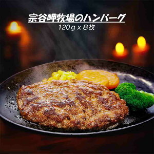 I 18 |Cg10{ @J̍ y}CX^[F菤izkC t no[O 960gi120gx8jkCuh W[V[ _ 悢TV ZȐԐgƒWȎb