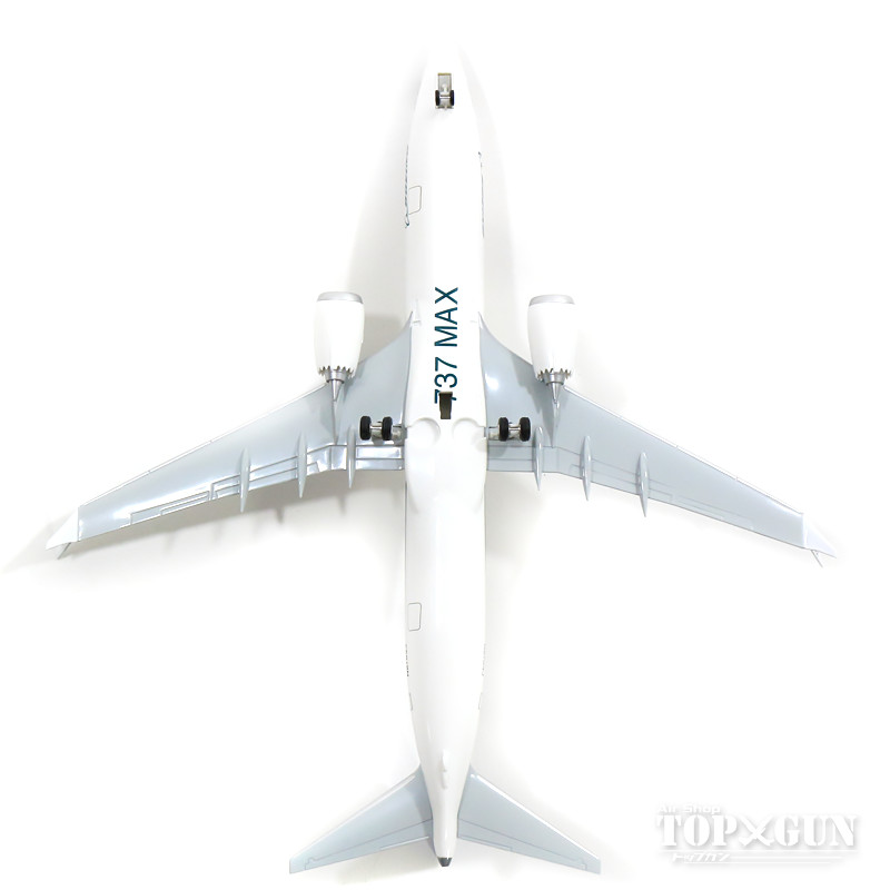 楽天市場】ボーイング 737 MAX 8 ボーイング社 ハウスカラー WiFi 