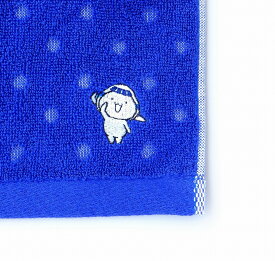 そらっち 刺繍入り フェイスタオル 青FUJISEY飛行機/グッズ [11105347]