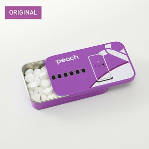 OKINAWA~g×Peach IWi~g Aircraft Dooris[`j s[`ArG[V PeachIWi s@/ObY [PA230062]