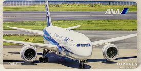 ANA 全日空 プレートマグネット 空港 FUJISEY飛行機/グッズ [4990623251001]