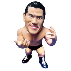 16d\trRNV036 AgjI 80NVer.WENzECV{vX NJPW