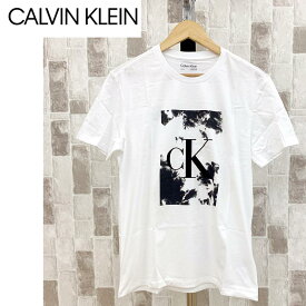 送料無料 Calvin Klein カルバンクライン CK フォレストBOX モノグラムTシャツ メンズ ブランド トップイズム ゆうパケ
