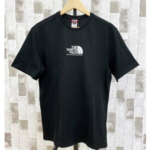 送料無料 THE NORTH FACE MENS TEE ザ ノースフェイス Tシャツ センターロゴ アルパイン クルーネック 半袖Tシャツ Tee メンズ ブランド コットン おしゃれ 春 夏 服 トップイズム ゆうパケ