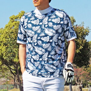  St bNlbN Y StEFA hCbV Xgb`  |Vc t Jt   璹iq `FbN X^[ {^jJ ԕ V̖ 