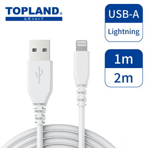 y5OFF 9/9 23:59܂Łz Lightnin CgjO P[u [dP[u [d \tg x fh~ f[^] AppleF MFiF iPhone iPad iPod X}z 1m 2m ItBX fXN   zCg CHLS1