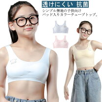 女子小学生　高学年　乳首) 
