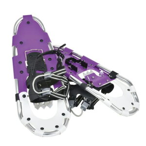 xg A~Xm[V[ HL580 BS-081