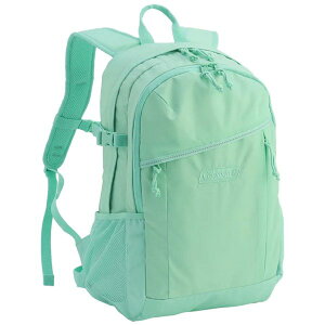 R[} Coleman EH[J[25 ^[RCY 2213993