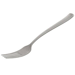 �G�o�j���[ EVERNEW Ti THE FORK ECAR737