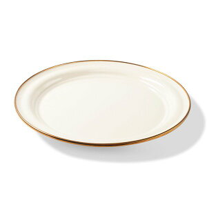 �W�[�G�X�A�C GSI ���T10inch �v���[�g �N���[�� 11876508126000