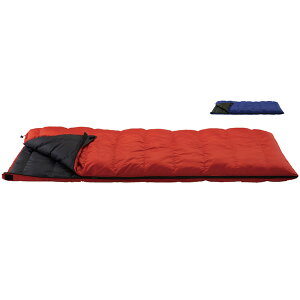 CXJ ISUKA _EvX N^ 500 ubN 147029