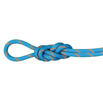 楽天市場】マムート ロープ 50mの通販 Mammut クライミングロープ シングル ドライ 50m グリーン