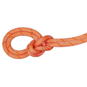 }[g MAMMUT 9.8NbO NVbN[v a9.8mm 40m IW/zCg 2010-05840-2107