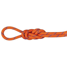 マムート MAMMUT ロープ 9.0 Alpine Sender Dry Rope サンライズ／アイス 60m 2010-04200-11237