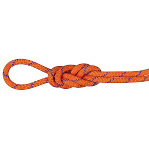 }[g MAMMUT [v 9.0 Alpine Sender Dry Rope TCY^ACX 60m 2010-04200-11237