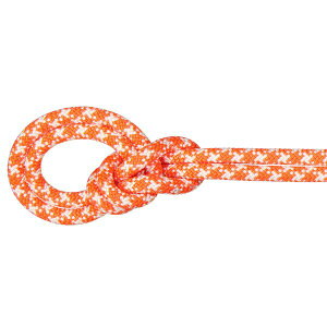 }[g mammut 9.5 NbO NVbN[v rugIW/zCg a9.5mm 50m 2010-05610-2237