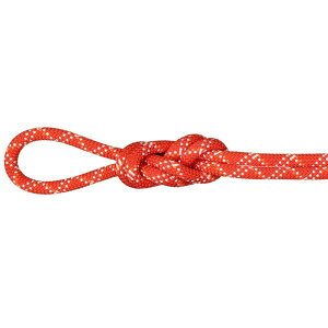 }[g mammut 9.5 W NVbN[v a9.5mm 40m Yx[/zCg 2010-05820-3790