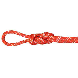 }[g mammut 9.5 W NVbN[v Yx[/zCg a9.5mm 50m 2010-05830-3790