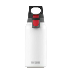 VO SIGG zbg&R[h  Cg 0.33L zCg 50390