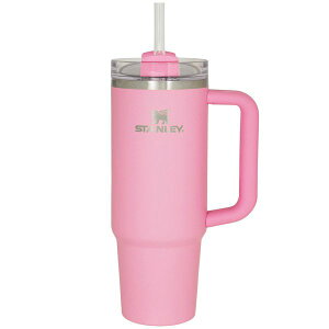 X^[ STANLEY H2.0 ^XNG`[ 0.88L VYOsN 11825-252