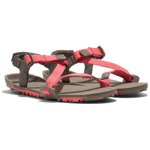 �[���V���[�Y Xero Shoes �E�B�����Y Z�g���C��EV �T���Z�b�g�R�[����/������ W6 23cm TTW-SCMR